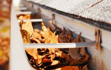 Pallion gutter cleaning companies