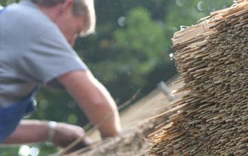 professional Pallion thatchers