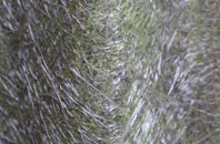 Pallion fibreglass roof work