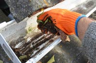 rated Pallion gutter cleaning companies